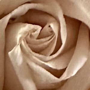 Meet your Posher, Sasha